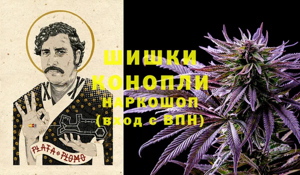 ПСИЛОЦИБИНОВЫЕ ГРИБЫ Осташков