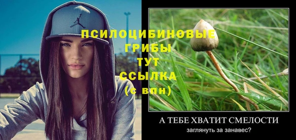 ПСИЛОЦИБИНОВЫЕ ГРИБЫ Осташков