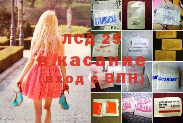 spice Осинники