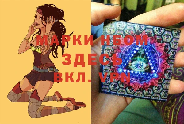 ПСИЛОЦИБИНОВЫЕ ГРИБЫ Осташков