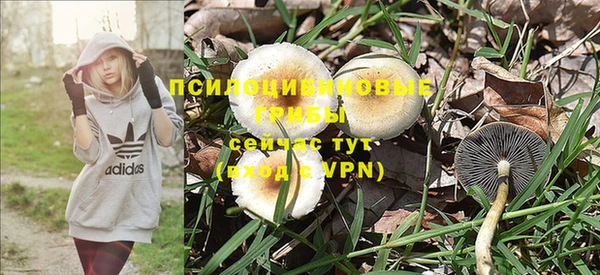 spice Осинники