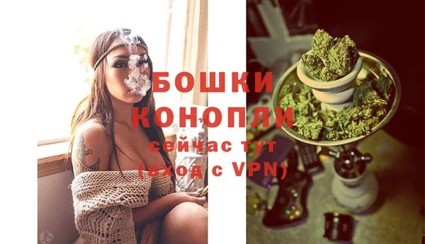 ПСИЛОЦИБИНОВЫЕ ГРИБЫ Осташков