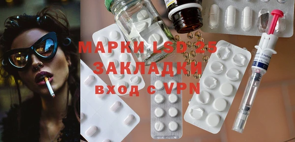 ПСИЛОЦИБИНОВЫЕ ГРИБЫ Осташков