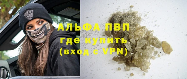 ПСИЛОЦИБИНОВЫЕ ГРИБЫ Осташков