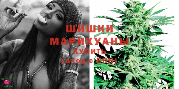 spice Осинники