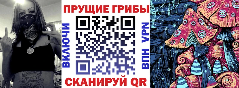 купить закладку  Щёлкино  MEGA ссылки  Галлюциногенные грибы прущие грибы 